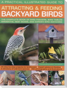 A Practical Illustrated Guide to Attracting and Feeding Backyard Birds