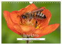 Insekten - Kleine Helfer unseres Lebens (Wandkalender 2024 DIN A4 quer), CALVENDO Monatskalender