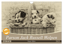 Parson Jack Russel Welpen (Wandkalender 2025 DIN A4 quer), CALVENDO Monatskalender