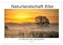 Naturlandschaft Elbe - Im Wechsel der Jahreszeiten (Wandkalender 2025 DIN A3 quer), CALVENDO Monatskalender