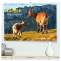Ziegen. Kluge Freigeister (hochwertiger Premium Wandkalender 2024 DIN A2 quer), Kunstdruck in Hochglanz