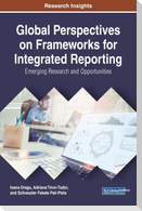 Global Perspectives on Frameworks for Integrated Reporting