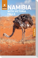 Rough Guides Namibia with Victoria Falls: Travel Guide with eBook
