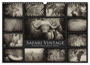 Barth, Carolin. Safari Vintage (Wandkalender 2024 DIN A3 quer), CALVENDO Monatskalender - Carolin Barth nimmt Sie mit auf eine virtuelle Safari.. Calvendo Verlag, 2023.