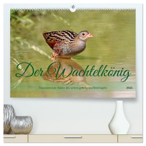 Bucher, Leo. Der Wachtelkönig (hochwertiger Premium Wandkalender 2024 DIN A2 quer), Kunstdruck in Hochglanz - Faszinierende Bilder des selten gesehenen Brutvogels. Calvendo, 2023.