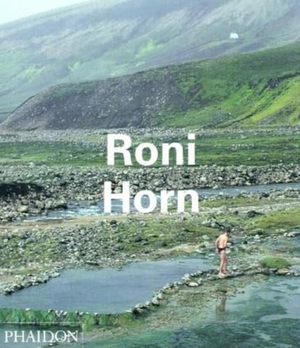 Cooke, Lynne / Neri, Louise et al. Roni Horn. Phaidon Press, 2000.