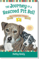 The Journey of a Rescued Pit Bull