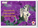 GEOclick Lernkalender: Steckbriefe einheimischer Schmetterlinge (Wandkalender 2024 DIN A2 quer), CALVENDO Monatskalender