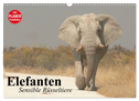 Elefanten. Sensible Rüsseltiere (Wandkalender 2024 DIN A3 quer), CALVENDO Monatskalender