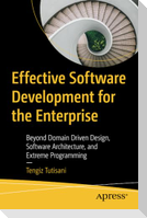 Effective Software Development for the Enterprise