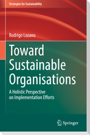 Toward Sustainable Organisations