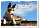 Basenji, der Kongo-Terrier (Wandkalender 2025 DIN A4 quer), CALVENDO Monatskalender