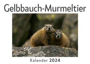 Müller, Anna. Gelbbauch-Murmeltier (Wandkalender 2024, Kalender DIN A4 quer, Monatskalender im Querformat mit Kalendarium, Das perfekte Geschenk). 27amigos, 2023.