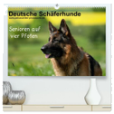 Deutsche Schäferhunde - Senioren auf vier Pfoten (hochwertiger Premium Wandkalender 2024 DIN A2 quer), Kunstdruck in Hochglanz