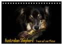 Australian Shepherd - Traum auf vier Pfoten (Tischkalender 2025 DIN A5 quer), CALVENDO Monatskalender