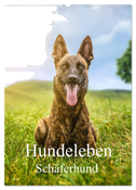 Hundeleben Schäferhund (Wandkalender 2024 DIN A2 hoch), CALVENDO Monatskalender