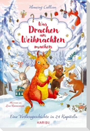Was Drachen an Weihnachten machen - Eine Vorlesegeschichte in 24 Kapiteln