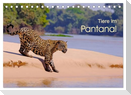 Tiere im Pantanal - viaje.ch (Tischkalender 2025 DIN A5 quer), CALVENDO Monatskalender