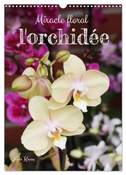 Miracle floral l'orchidée (Calendrier mural 2024 DIN A3 horizontal), CALVENDO calendrier mensuel