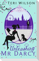 Unleashing Mr Darcy