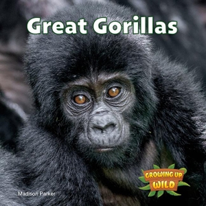 Parker, Madison. Great Gorillas. Rosen Publishing Group, Inc, 2025.