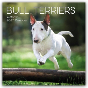 Gifted Stationery Co. Ltd. Bull Terrier 2027 - 16-Monatskalender - Original Gifted Stationery-Kalender [Mehrsprachig] [Kalender]. Browntrout Verlags GmbH, 2026.