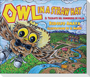 Owl in a Straw Hat: El Tecolote del Sombrero de Paja