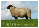 Schafe zählen leicht gemacht! (Wandkalender 2024 DIN A2 quer), CALVENDO Monatskalender