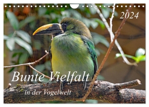 Kleemann, Claudia. Bunte Vielfalt in der Vogelwelt (Wandkalender 2024 DIN A4 quer), CALVENDO Monatskalender - Farbenpracht im Vogelreich.. Calvendo, 2023.