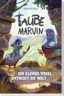 Taube Marvin