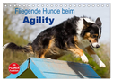 Fliegende Hunde beim Agility (Tischkalender 2025 DIN A5 quer), CALVENDO Monatskalender