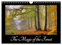 The Magic of the Forest (Wall Calendar 2025 DIN A4 landscape), CALVENDO 12 Month Wall Calendar