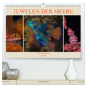 Juwelen der Meere (hochwertiger Premium Wandkalender 2024 DIN A2 quer), Kunstdruck in Hochglanz