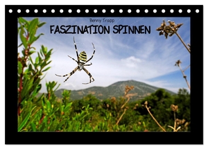 Trapp, Benny. Faszination Spinnen (Tischkalender 2024 DIN A5 quer), CALVENDO Monatskalender - Spinnen - Zwischen Ekel und Faszination. Calvendo, 2023.