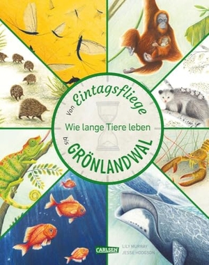 Murray, Lily. Von Eintagsfliege bis Grönlandwal - Wie lange Tiere leben | Sachbuch über das Leben von 27 besonderen Tierarten. Für Kinder ab 5.. Carlsen Verlag GmbH, 2024.
