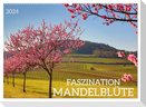 FASZINATION MANDELBLÜTE (Wandkalender 2024 DIN A2 quer), CALVENDO Monatskalender