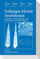 Galápagos Marine Invertebrates
