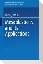 Mesoplasticity and its Applications