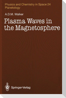 Plasma Waves in the Magnetosphere