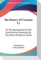 The History Of Creation V1