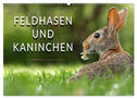 Feldhasen und Kaninchen (Wandkalender 2024 DIN A2 quer), CALVENDO Monatskalender