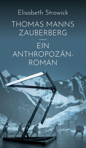 Strowick, Elisabeth. Thomas Manns 'Zauberberg' - ein Anthropozän-Roman. Wallstein Verlag GmbH, 2026.