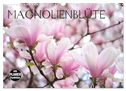 Magnolienblüte (Wandkalender 2025 DIN A3 quer), CALVENDO Monatskalender