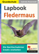 Lapbook Fledermaus