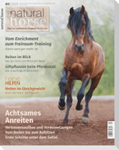 Natural Horse 55