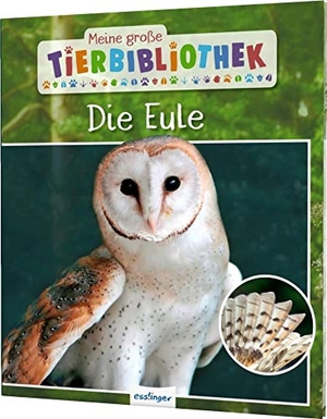 Poschadel, Jens. Meine große Tierbibliothek: Die Eule - Sachbuch für Vorschule & Grundschule. Esslinger Verlag, 2019.