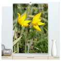 Seltene Wildblumen (hochwertiger Premium Wandkalender 2024 DIN A2 hoch), Kunstdruck in Hochglanz