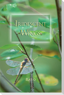 Iridescent Wings