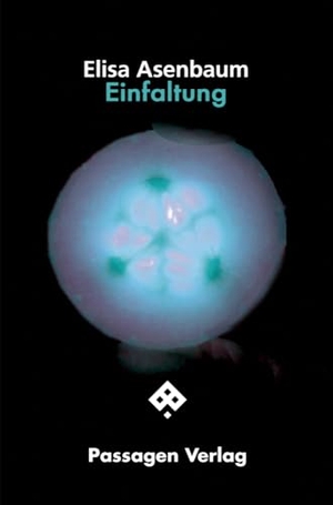 Asenbaum, Elisa. Einfaltung - Eine philosophische Fiktion. Passagen Verlag Ges.M.B.H, 2024.