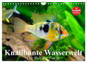 Knallbunte Wasserwelt. Die Welt der Fische (Wandkalender 2024 DIN A4 quer), CALVENDO Monatskalender